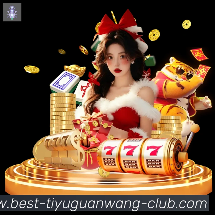 奖项证书